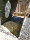 20201129_125419.jpg
