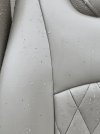 2820A253-09A6-4DD7-BE26-902411A53094.jpeg