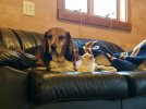 Lucy and Thundar.jpg