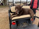 Sailor on Golf Cart - 1.jpeg