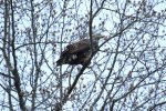 45A5614C-C6B7-441A-B16E-F346AD0269CD.jpeg