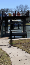 BDF71065-5A57-4050-927D-A941925E4D59.png