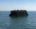 Old floater.jpg