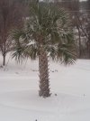 IMG_20220116_164438340.jpg