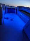 LED Light up at night.jpg