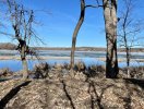 Lake 5.4.22.jpg