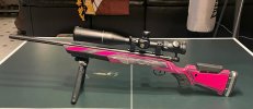 Savage BMAG 17 WSM.jpg