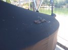 IMG_20220517_140126880.jpg