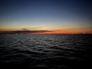 7ACDB0BE-F978-47D8-9D52-E21084BC774F.jpeg