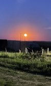 IMG_2533.jpg