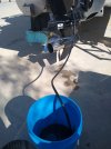IMG_20221128_121309445.jpg