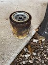 Fuel filter.jpg