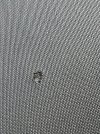 IMG_4634.jpeg