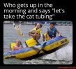IMG_3152.jpeg