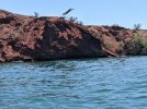 2021-08-08 11.54.25-1 Dive.jpg