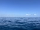 3AE55765-B649-4747-BF66-55C3F18C1611.jpeg