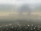 IMG_0786.jpeg