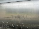 IMG_0787.jpeg