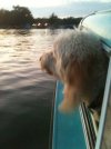 IMG_0229.jpeg