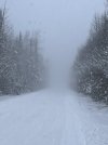IMG_5847.jpeg