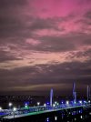 IMG_6263.jpeg