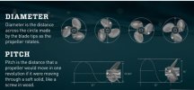 IMG_1310.jpeg