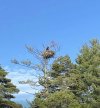 IMG_6572.jpeg