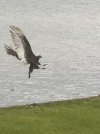 IMG_8018.jpeg