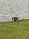 IMG_8016.jpeg