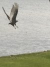 IMG_8018.jpeg