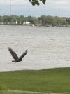 IMG_8019.jpeg