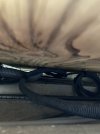 Wires 1.jpg