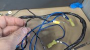 PXL_20250711_142102274.jpg