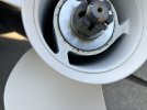 IMG_5702.jpeg