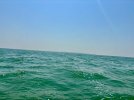 Open water 1.jpeg