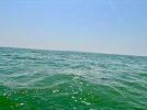 Open water 2.jpeg
