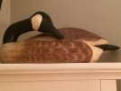 Dad goose decoy.jpg