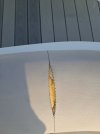 20250817_082248.jpg