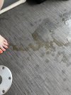 IMG_1709.jpeg