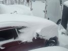 Snow in Houghton Feb 2026.jpg
