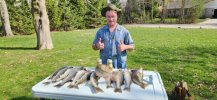 Walleye 3.jpg