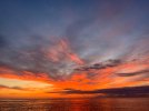 IMG_4032.jpeg