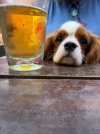 IMG_2833.jpeg