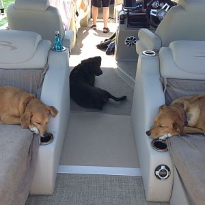 Dogs Aboard