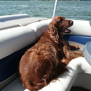 Riley On A breezy lake Day