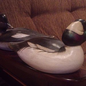 Wooden Duck Decoy collection