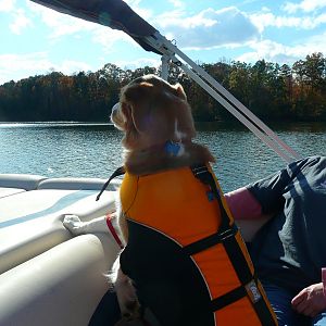 Abbey on boat ride