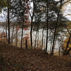 Fall Lake view
