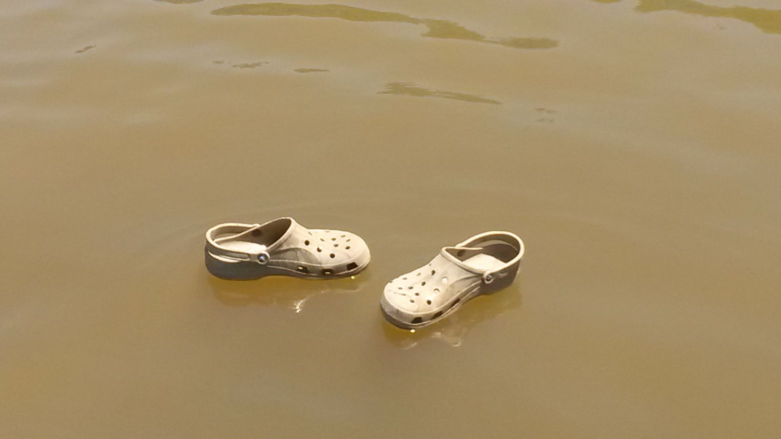 A couple of 'Crocs' spotted in Bridgeport Lake -