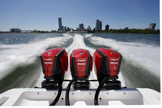 Evinrude G2 X 3